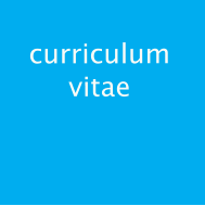 curriculum vitae